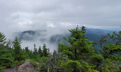 Featured image of post Blueberry Ledge Trail