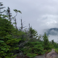 Blueberry Ledge Trail