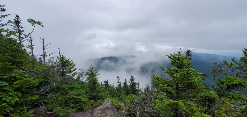 Featured image of post Blueberry Ledge Trail